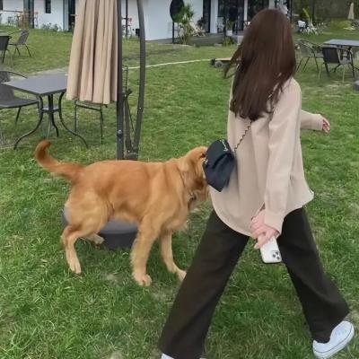密语者